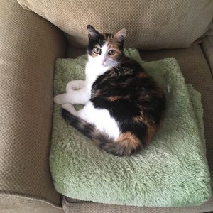 Meet your Posher, Jane